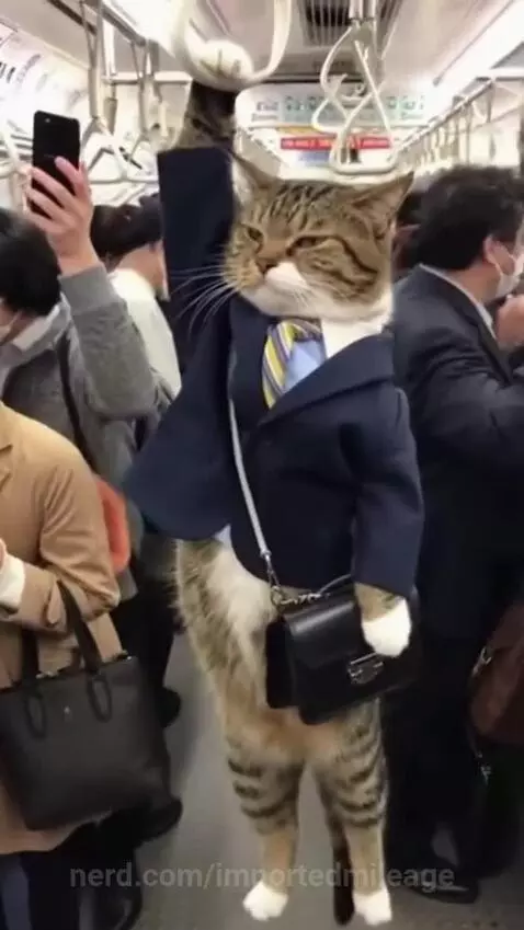 On my way to a job I even don't like 😂😾 by importedmileage