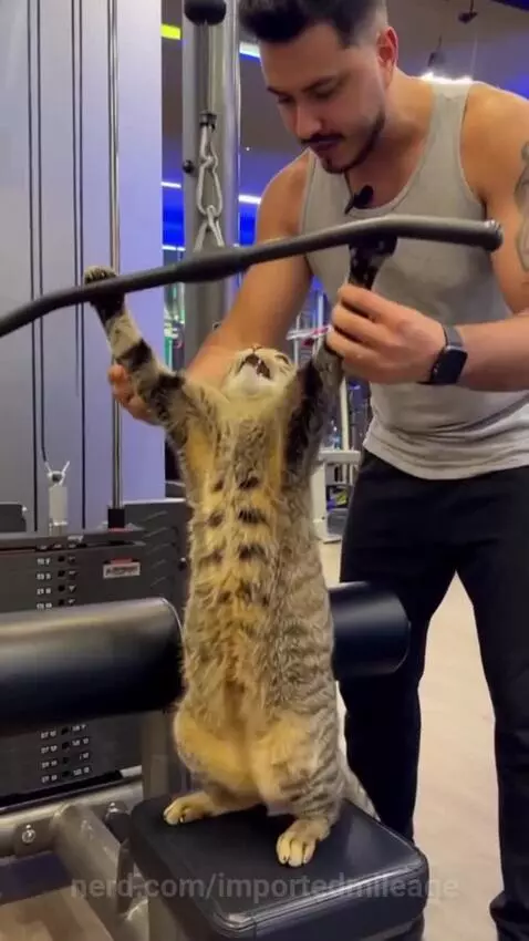 Training was a tough one today. by importedmileage