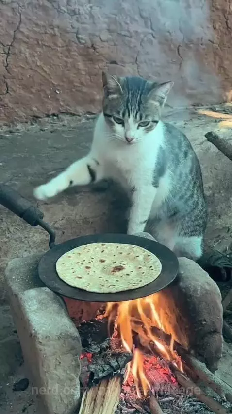 Video by importedmileage