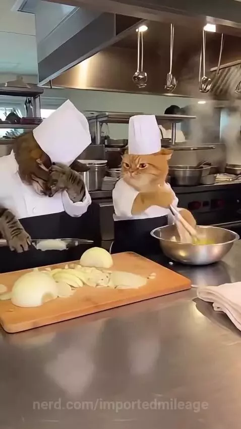 Video by importedmileage