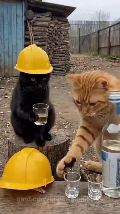 Video by importedmileage