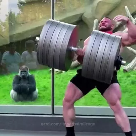 Man tries to lift massive weight by importedmileage