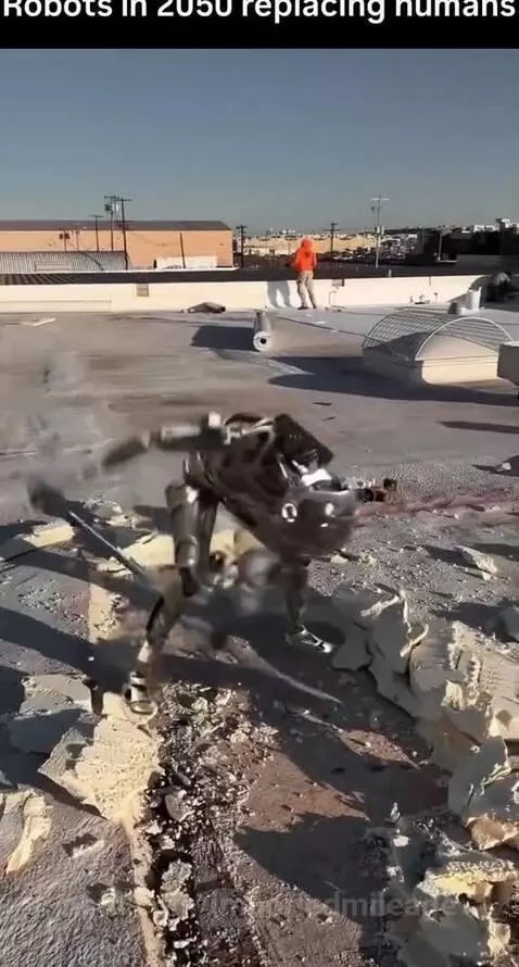 Do you accept that robots will replace human? by importedmileage