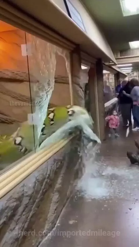 Video by importedmileage