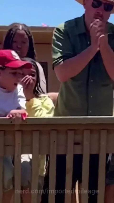 Alligator attacks a man by importedmileage