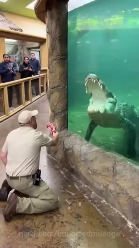 Oh no by importedmileage