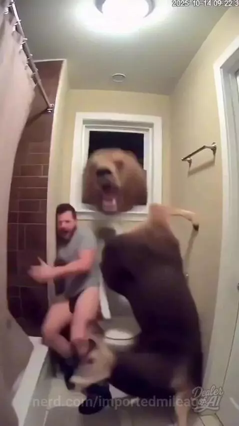 It felt peaceful until bears came in by importedmileage