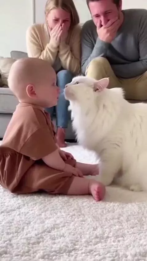 Video by importedmileage