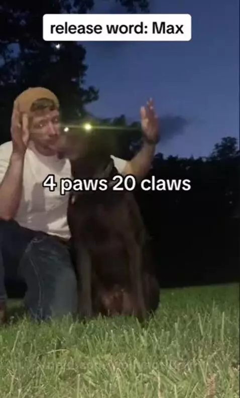 he can go on his name but do you see the way his eyes are gl... by wolfynotfurry