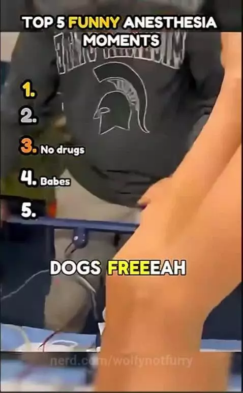 is that a special talent 😂 by wolfynotfurry