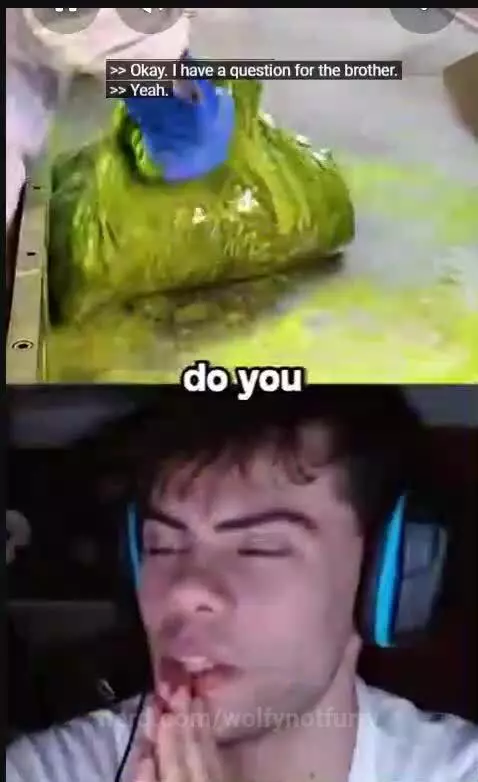 wild by wolfynotfurry