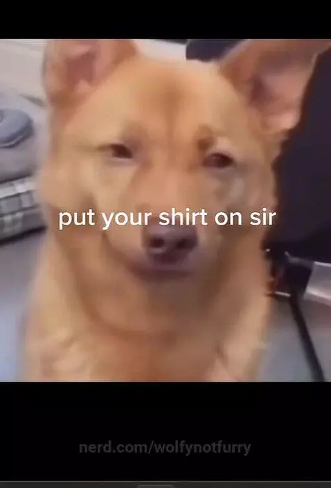 So cringe by wolfynotfurry