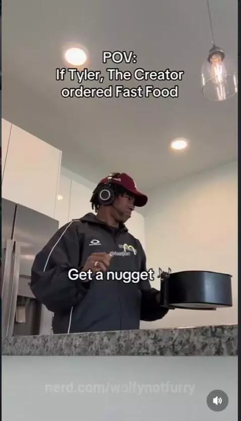 let him cook by wolfynotfurry