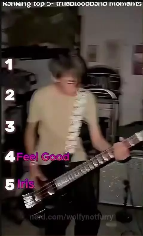 band by wolfynotfurry