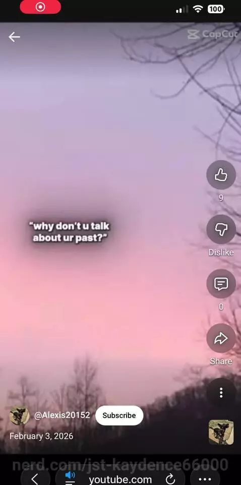 i don’t wanna feel that pain again by jst-kaydence66000