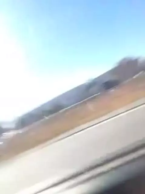 Video by magentaopenness