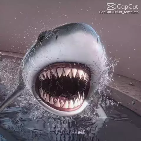 Video by jackmirishking