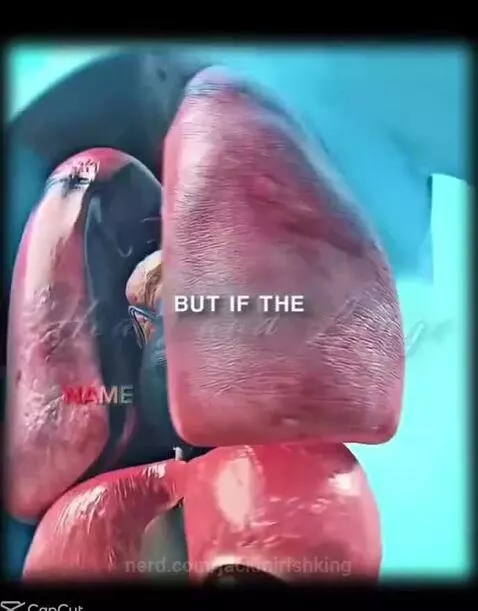 Video by jackmirishking