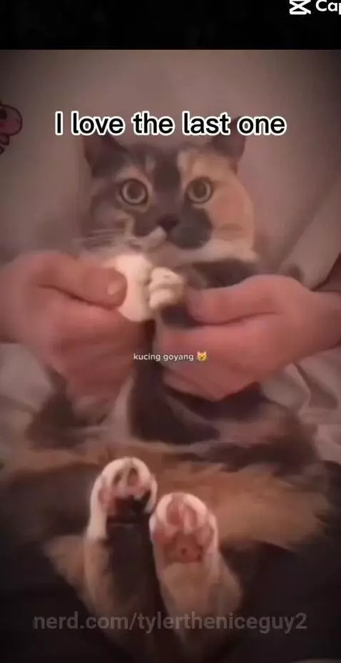 Video by tylertheniceguy2