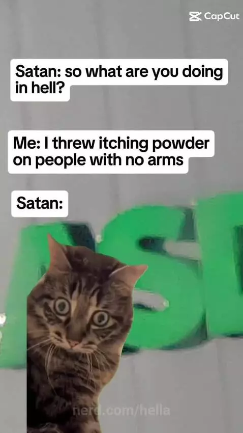 Video by hella