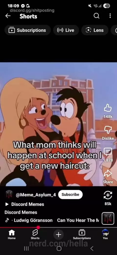 Video by hella