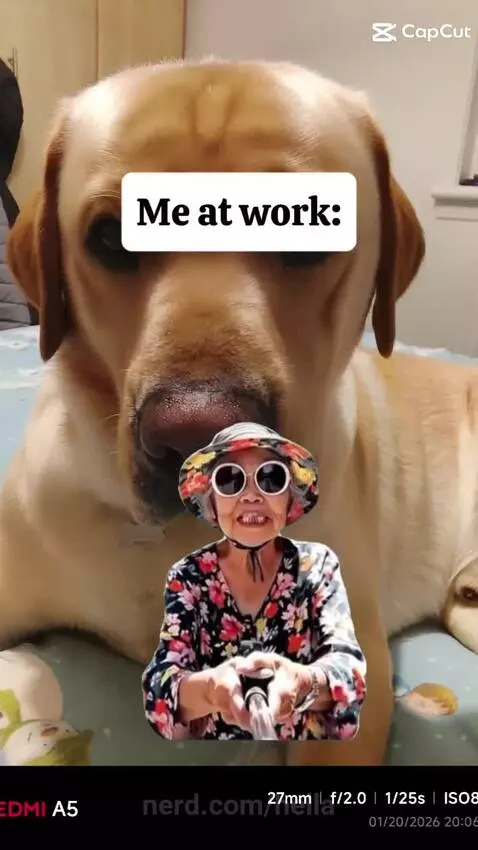 Video by hella