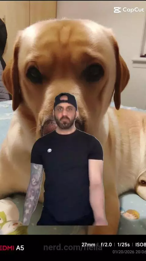 Video by hella