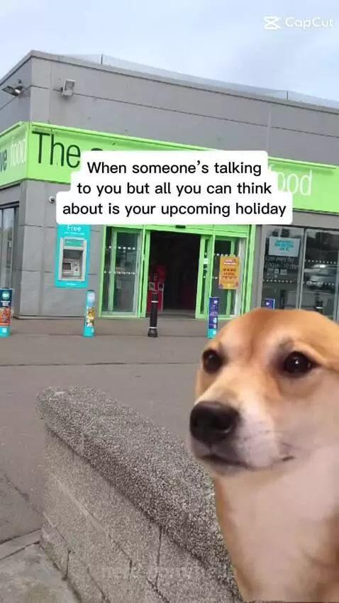 Video by hella
