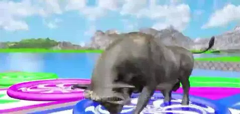 😂😯😂😯😂😯😂😯😂😯😂😯😂😯😂😯😂😯😂😯😂😯😂😯😂😯😯😂😂😯😂😯😂😯😂😯😂 by matteoistuff