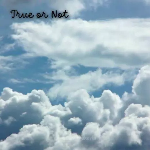True or Not by makayla