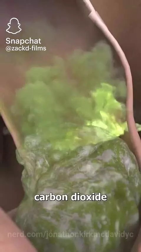 Video by jonathonkirkmcdavidyc