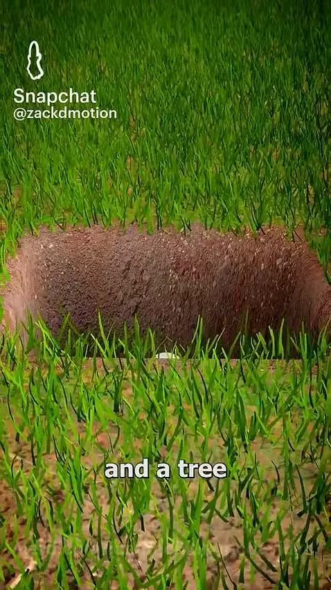 Video by jonathonkirkmcdavidyc