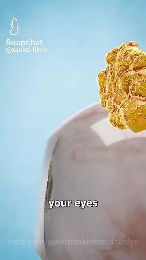 Video by jonathonkirkmcdavidyc