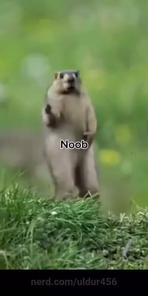 SHUT UP CHICKEN by uldur456