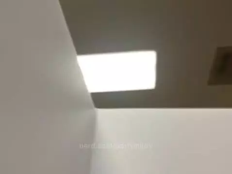 Video by partyinjury