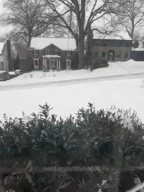 More than a foot of snow by tillybetuff