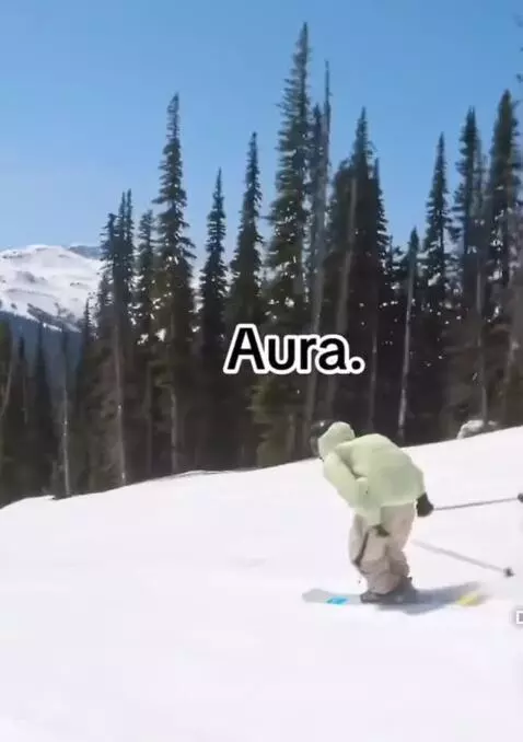 skiing, skiingfail, aura by tillybetuff