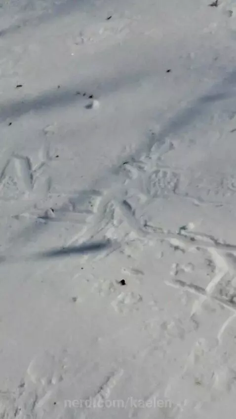 What is she doing?? by kaelen