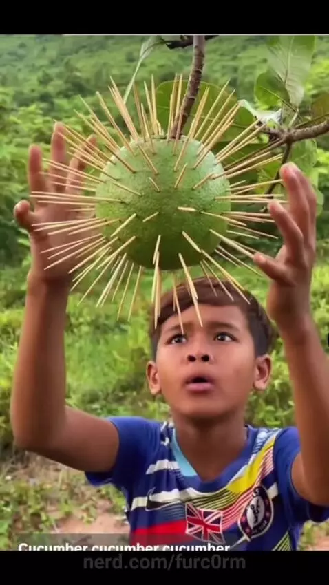 Oh nah bro by furc0rm