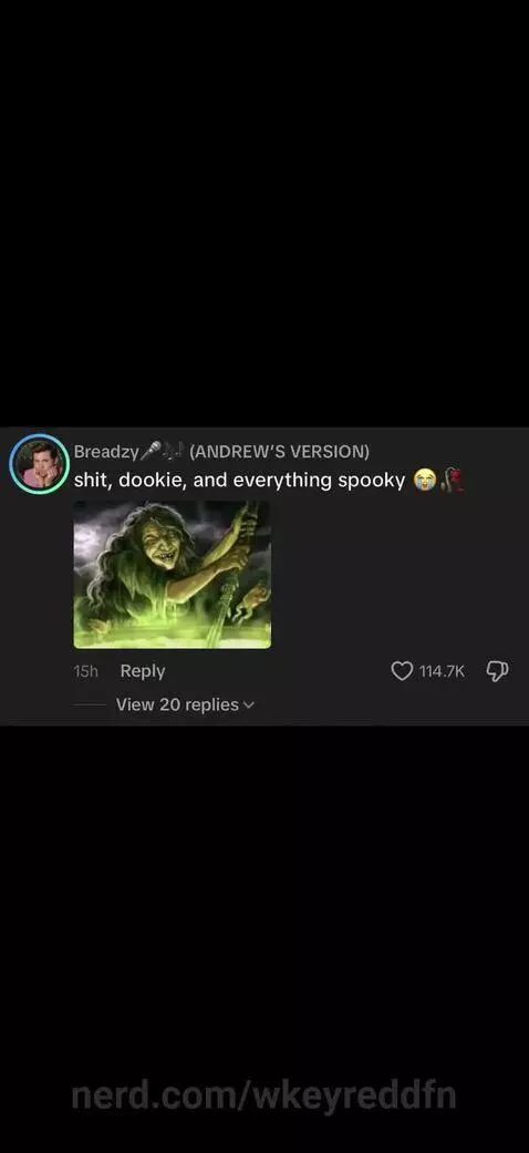 THE COMMENTS THO by wkeyreddfn