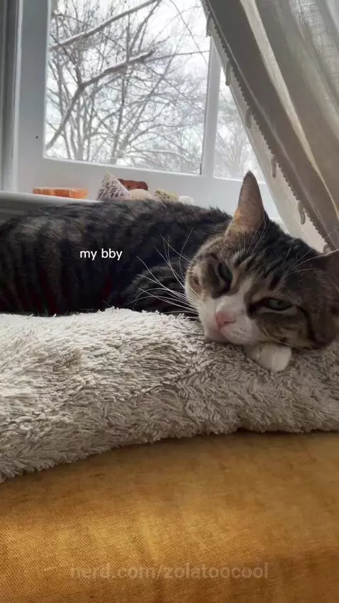 Video by zolatoocool