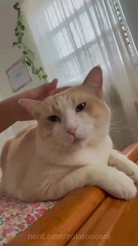 hes special by zolatoocool