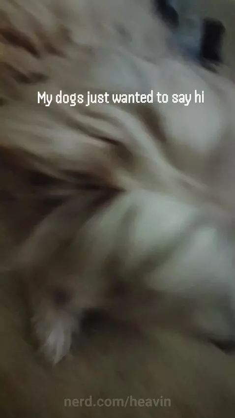 Should I do more posts with them or nah? by heavin