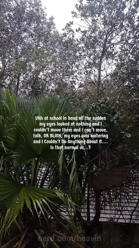 Is that normal...? by heavin