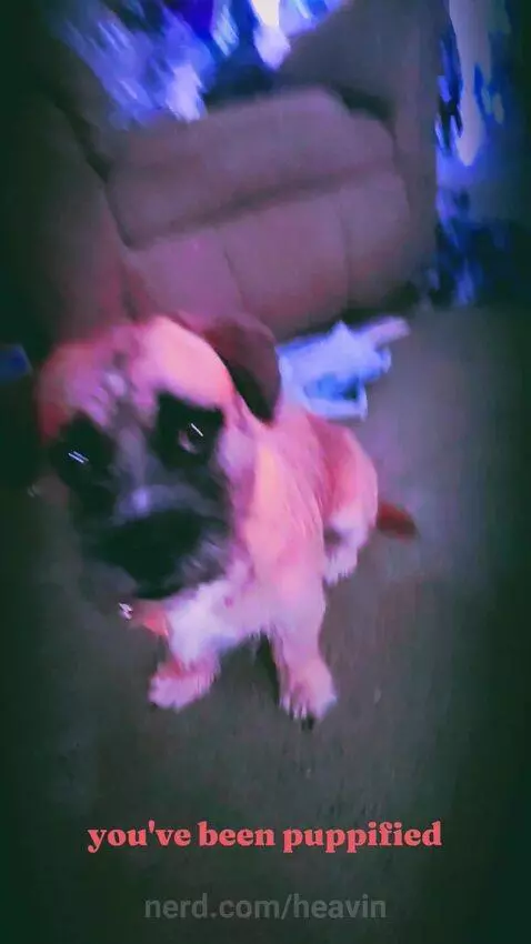 Random post XD by heavin