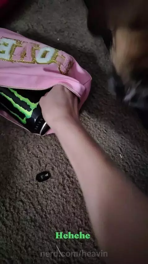 After the video I put to five more in my suitcase 😝 by heavin