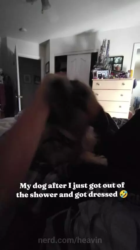 Video by heavin