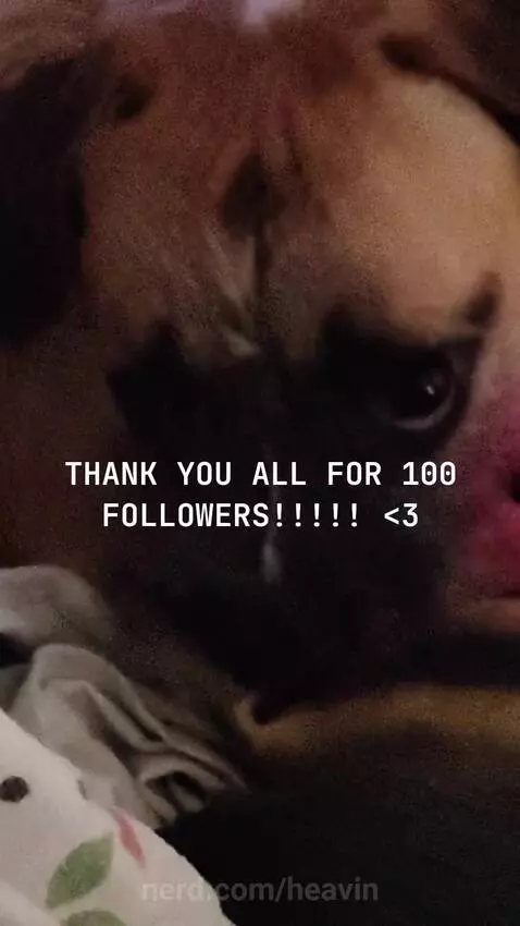 YOU GUYS ARE THE BEST!!! by heavin