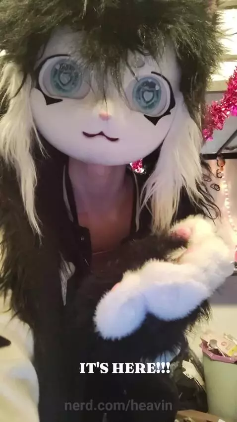 It wasn't the one I asked for but it's still a fursuit and I... by heavin