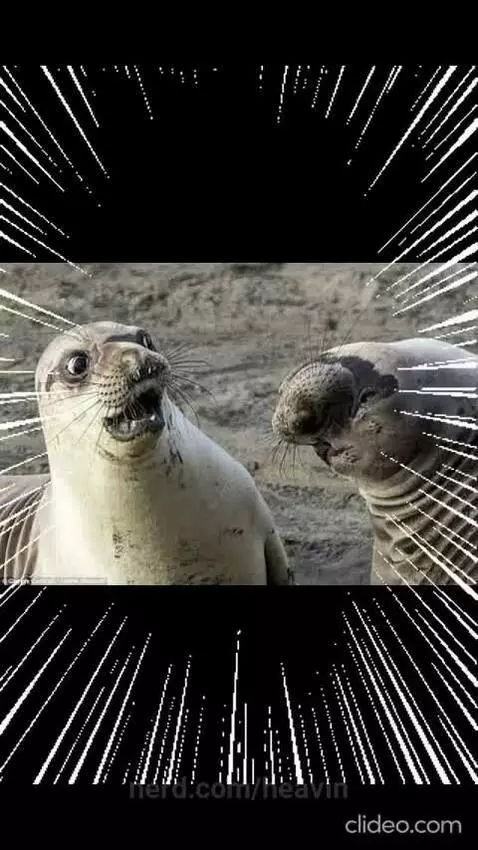 Video by heavin